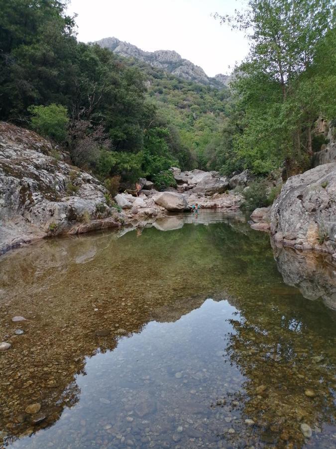 Les Violettes Βίλα Mons  Εξωτερικό φωτογραφία