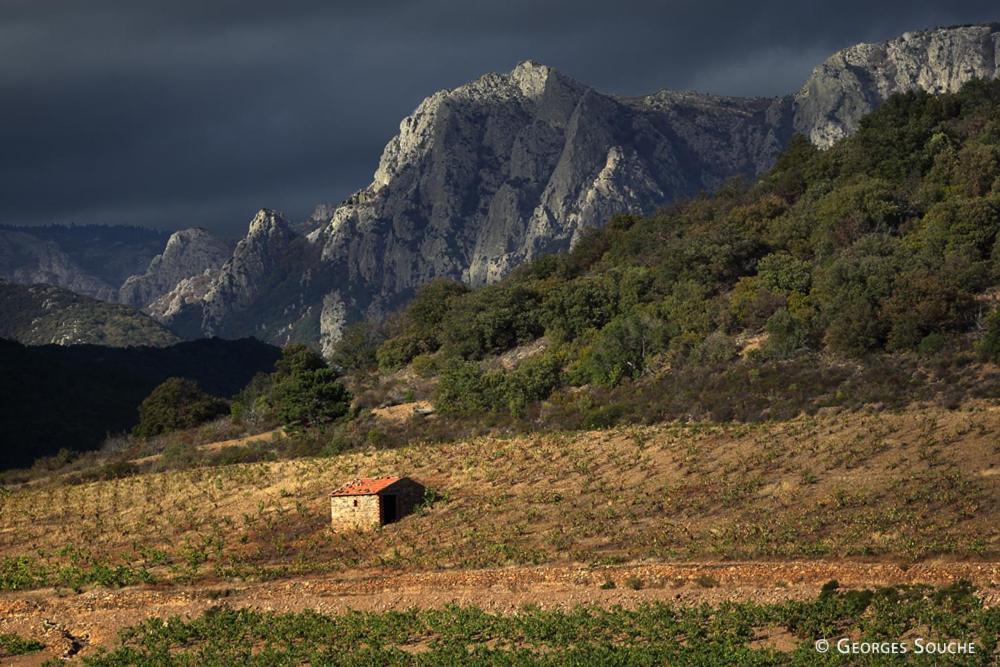 Les Violettes Βίλα Mons  Εξωτερικό φωτογραφία